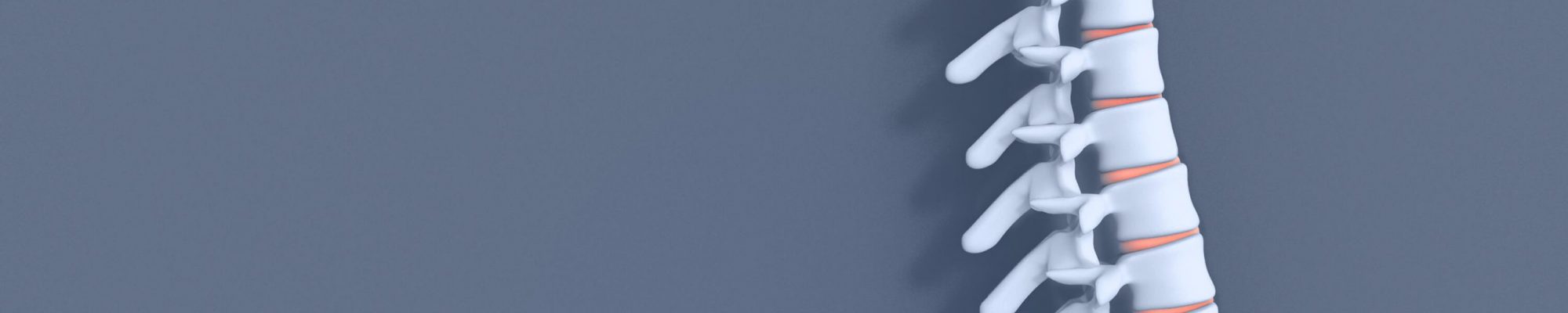 Home_1_dr_Michael_Huber_Ortho_Trauma_unfallchirurgie_chirurg_wien_wirbelsaeule_chirurgie